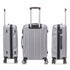 Raykong Maleta Cabina ABS 55x38x23cm 44L - 20 Pulgadas Plateada - Waves